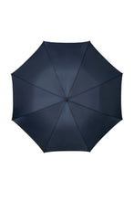 Load image into Gallery viewer, Rain Pro Stick Umbrella